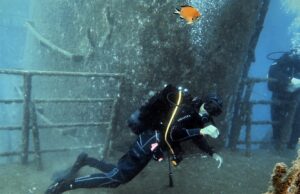 scuba diving-wreck and reef diving
